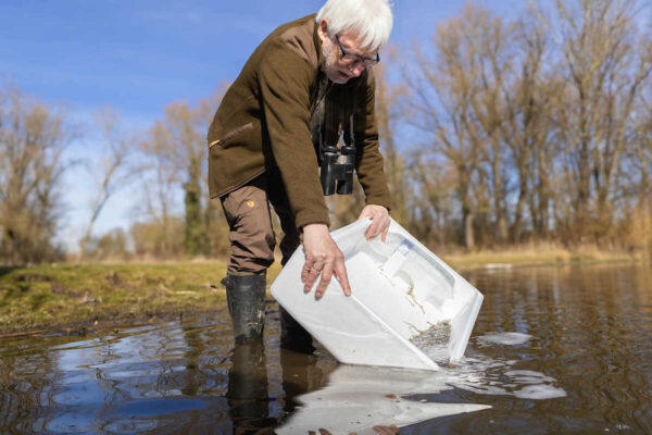 Glasaalbesatz, Leineteich, 05.03.2025